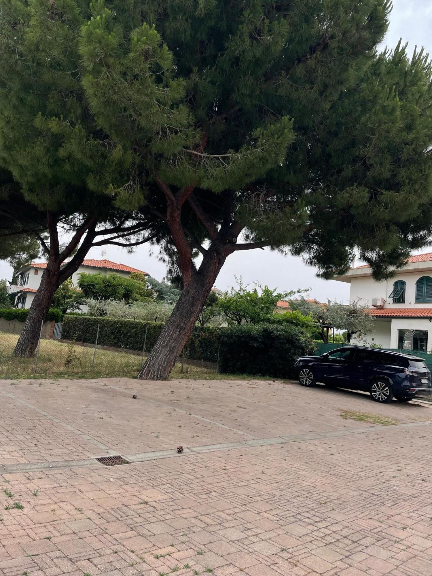 Casa Vacanze Le Due Torri Vada Exterior photo